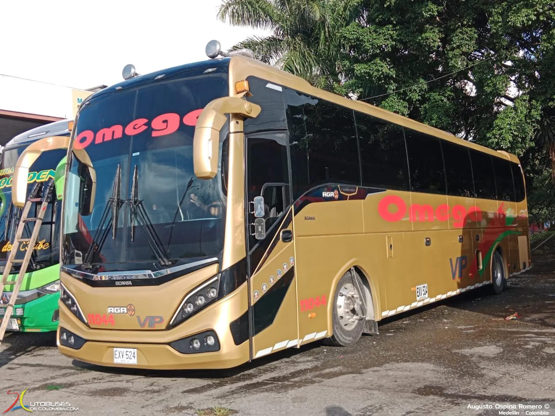 Aga Aga Forever Scania K410
