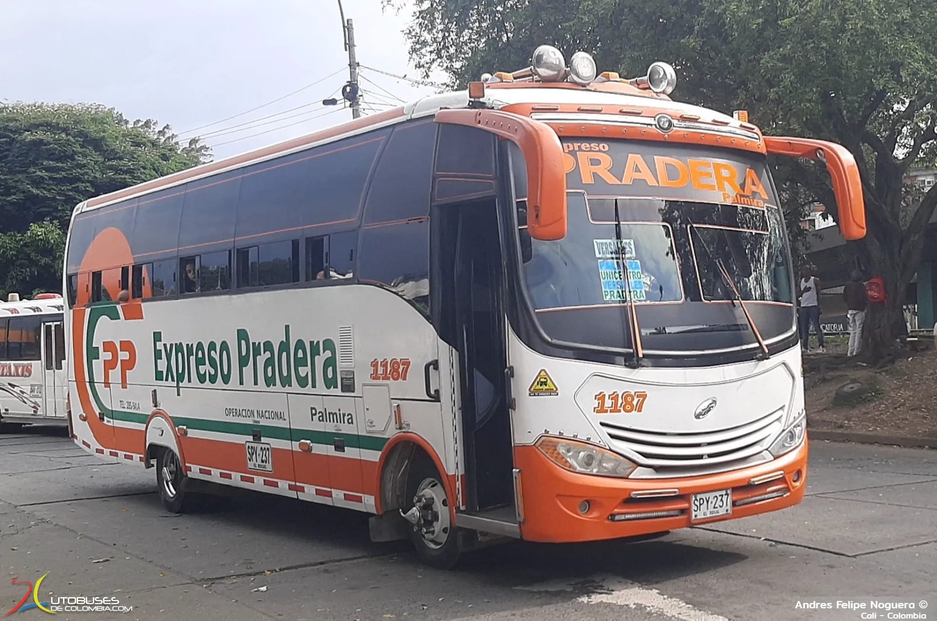JGB JGB Ibiza Maxxi Hino FC9J