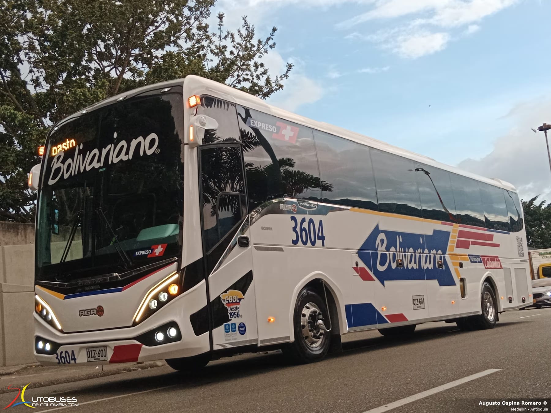 Aga Aga Forever Scania K410