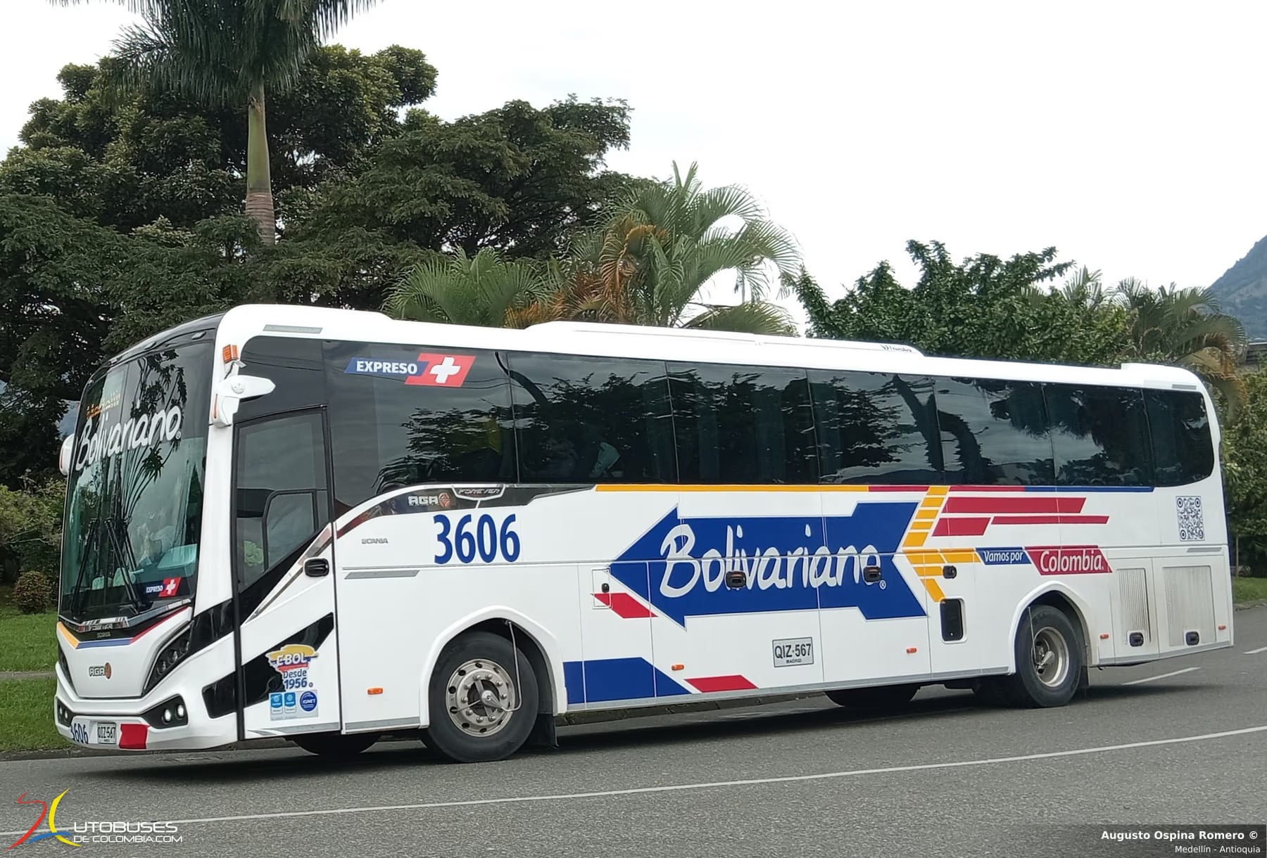 Aga Aga Forever Scania K410