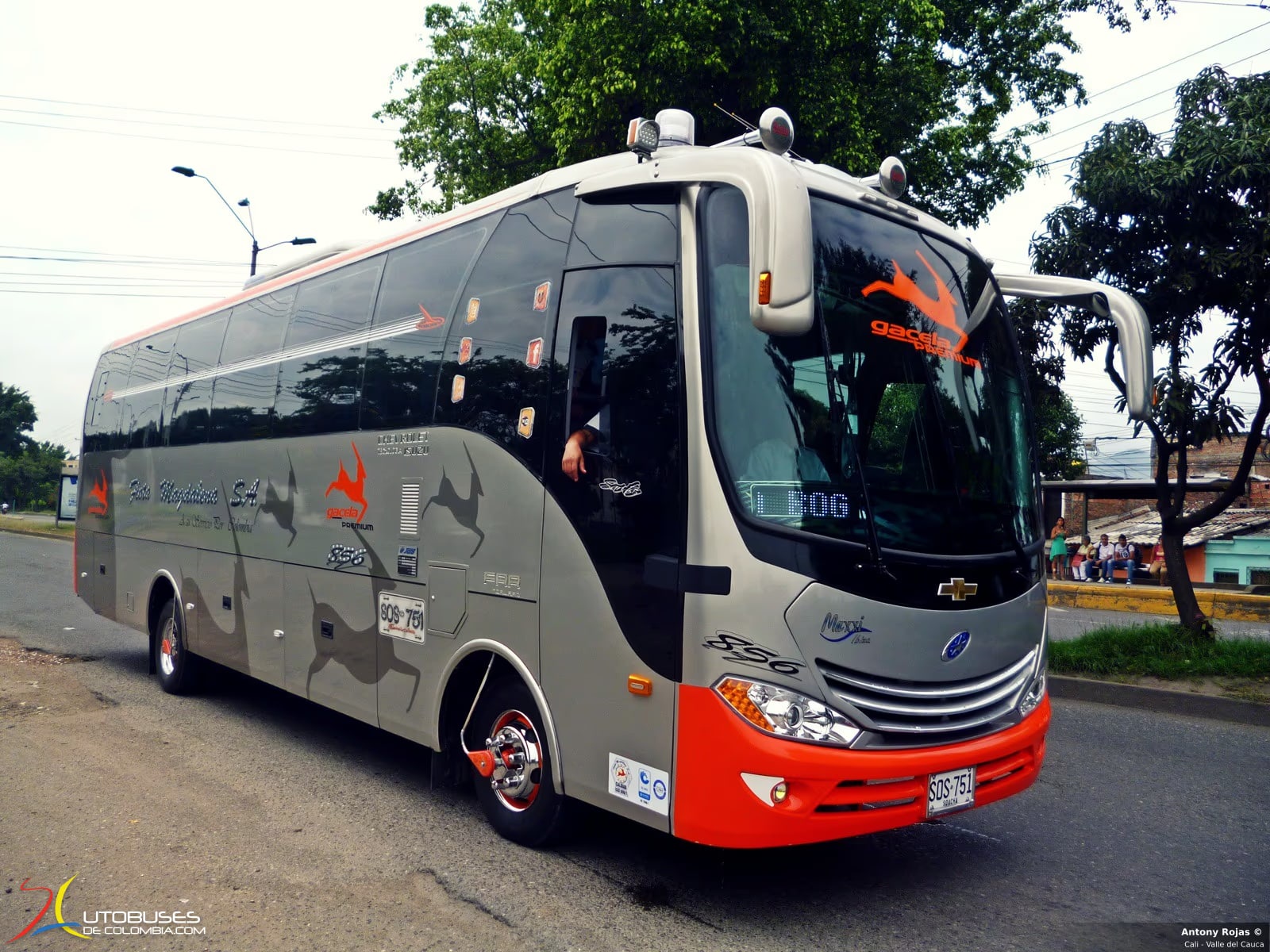 JGB JGB Ibiza Maxxi Chevrolet Isuzu FRR Forward