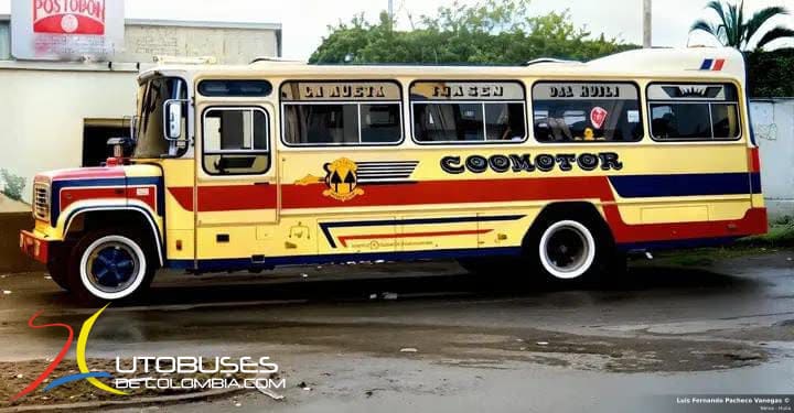 Blue Bird Colcar Blue Bird Flamingo Chevrolet Isuzu B60
