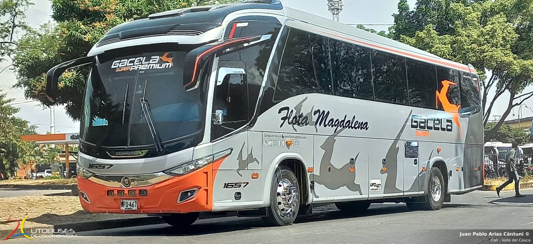 Marcopolo Paradiso 1200 G7 Volvo B420R 
