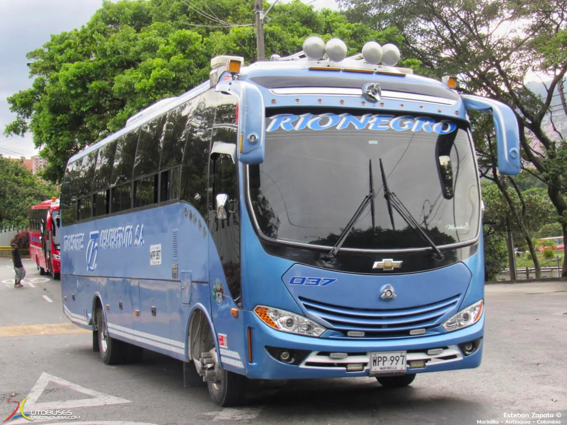 JGB Ibiza Maxxi Chevrolet Isuzu FRR Forward de Transportes Chachafruto S.A.