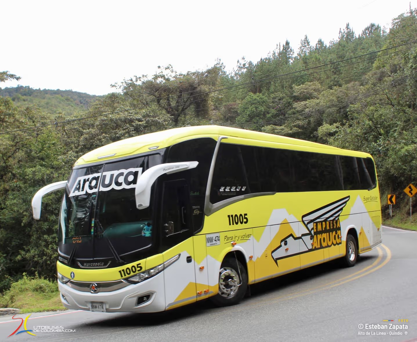 Bus de Empresa Arauca