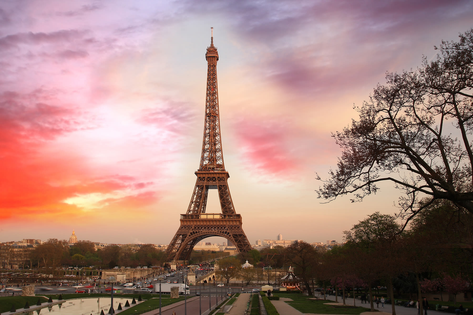 denze tours and travels background