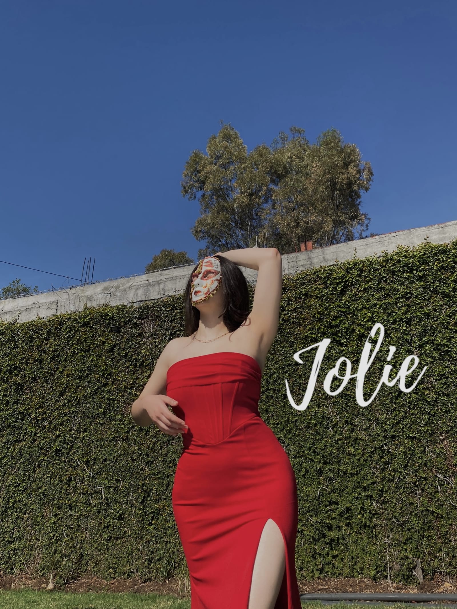 SIRBAN — vista 3 de 3