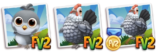 Silver Campine Chicken