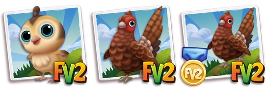 Copper Pheasant