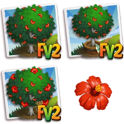 Chinese Hibiscus Tree
