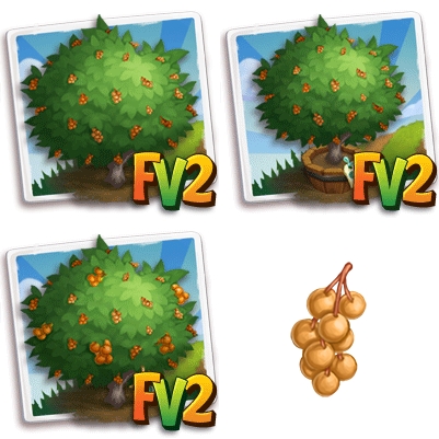 Longan Tree