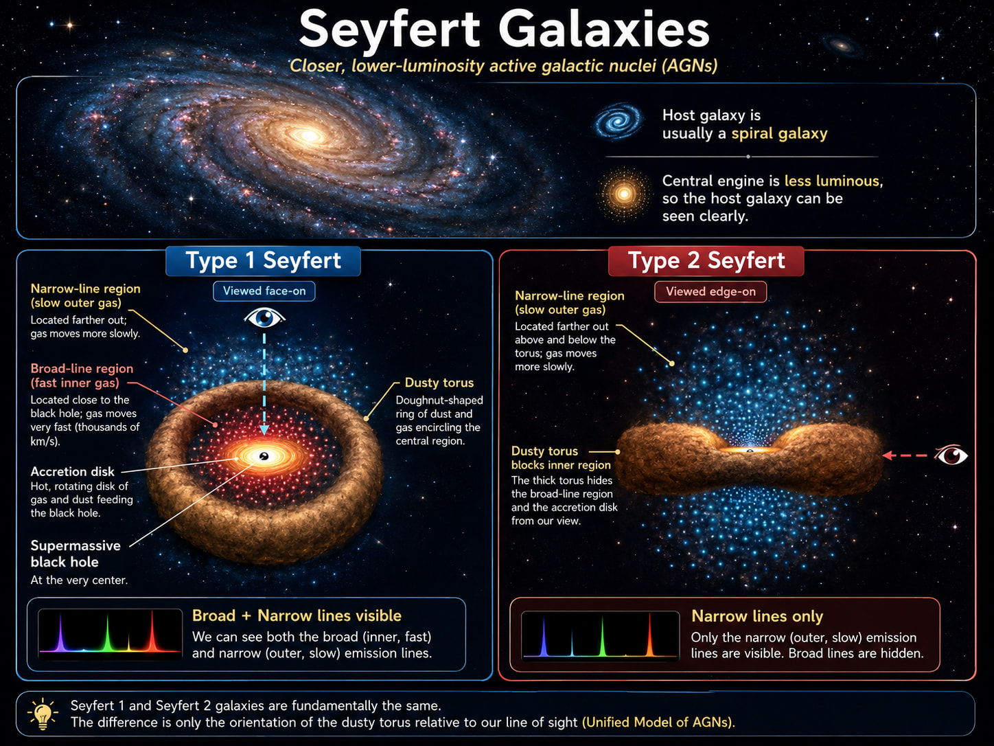 Seyfert galaxy illustration