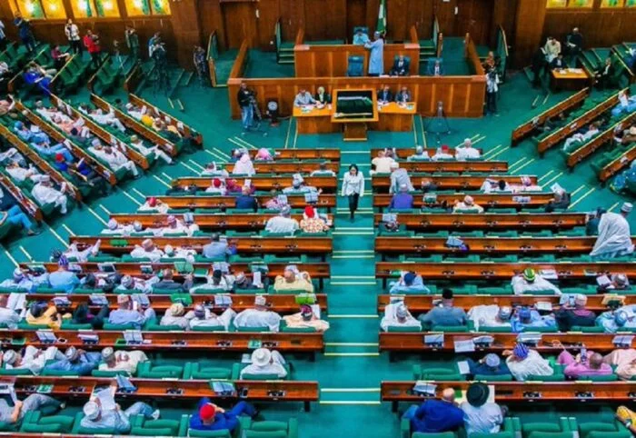 Reps Pass 50-Year National Economic Plan Bill Second Reading