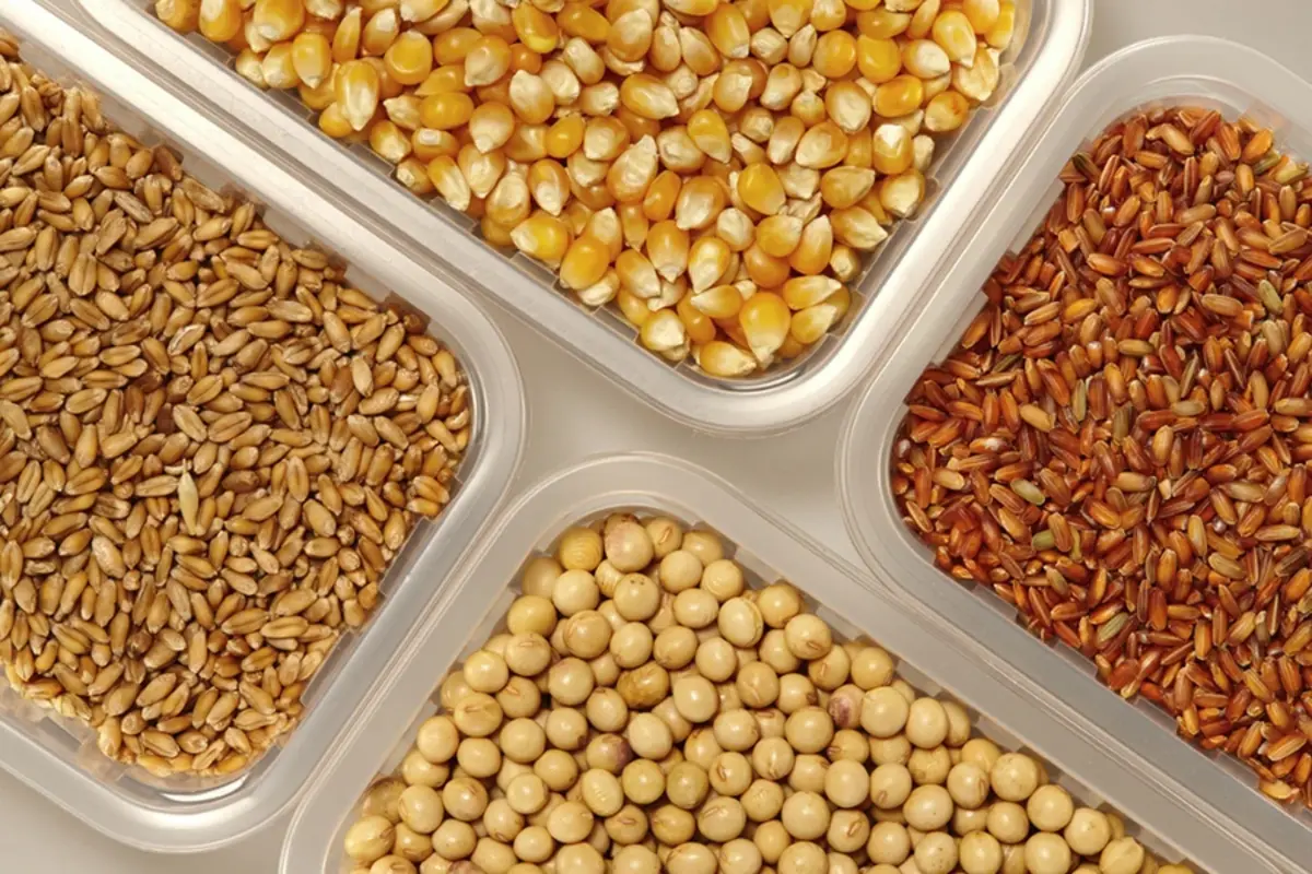 BOA, FG Launch Scheme to Boost Grain Output to 25 Million Tonnes