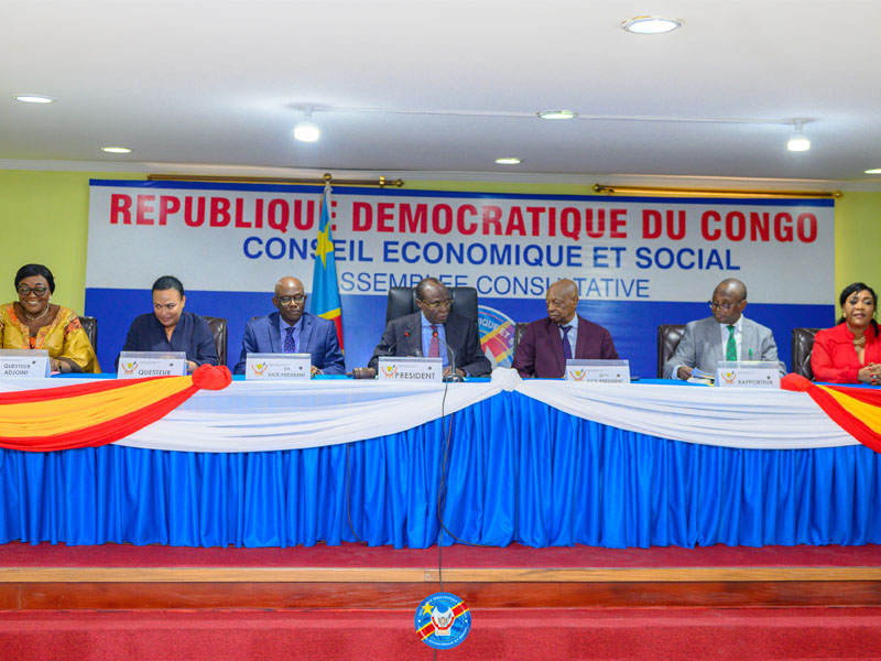 Plénière du 9 Avril 2025 au Conseil Économique et Social, désignation des membres du bureau