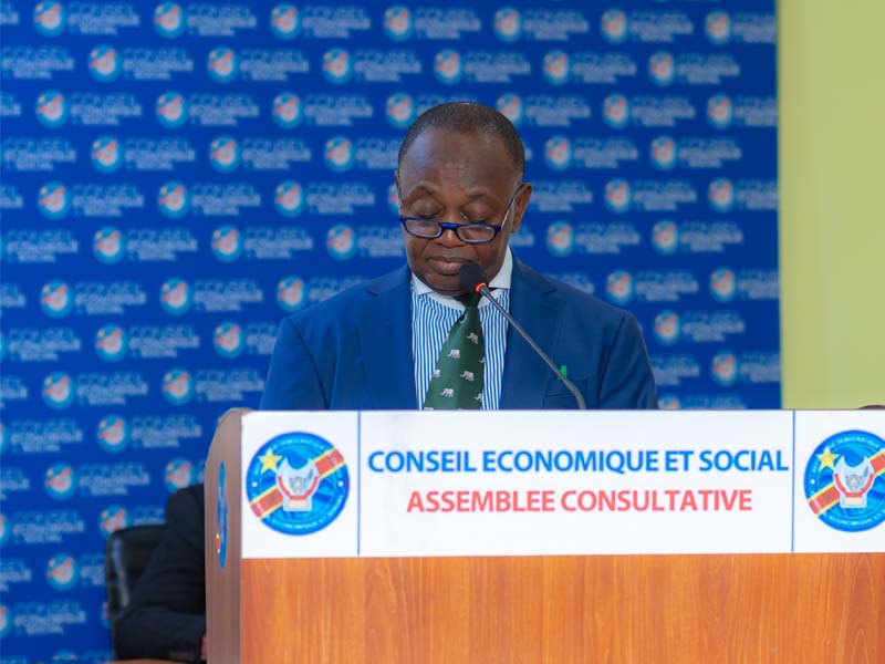 Déroulement des travaux du Conseil Économique et Social – Séance plénière du mercredi 16 avril
