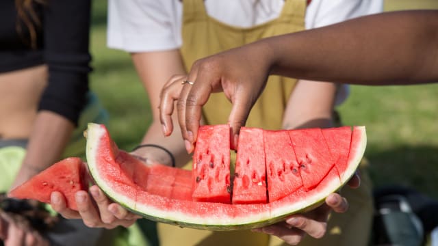 When Summer Is Too Much: Understanding Summer Heat in Traditional Chinese Medicine