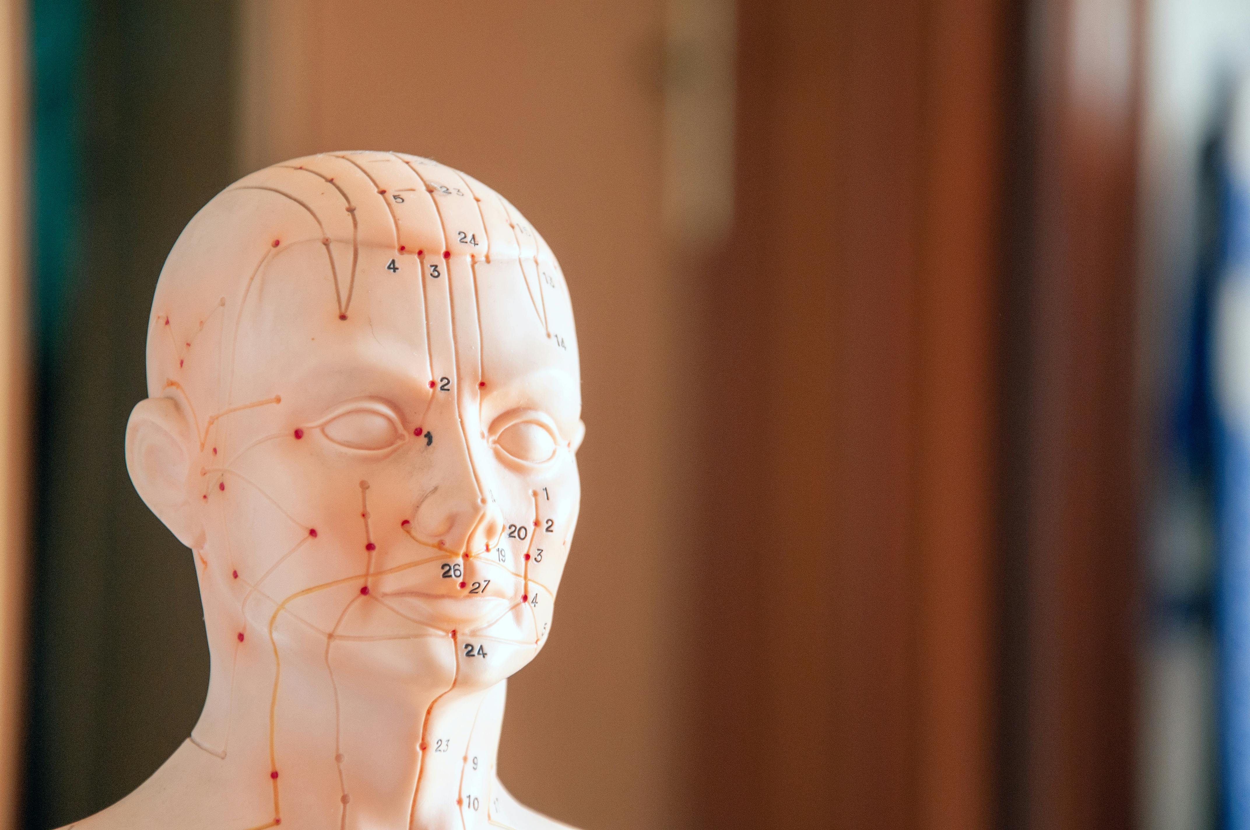 The Body’s Hidden Pathways: What the Interstitium Reveals About Acupuncture and Qi
