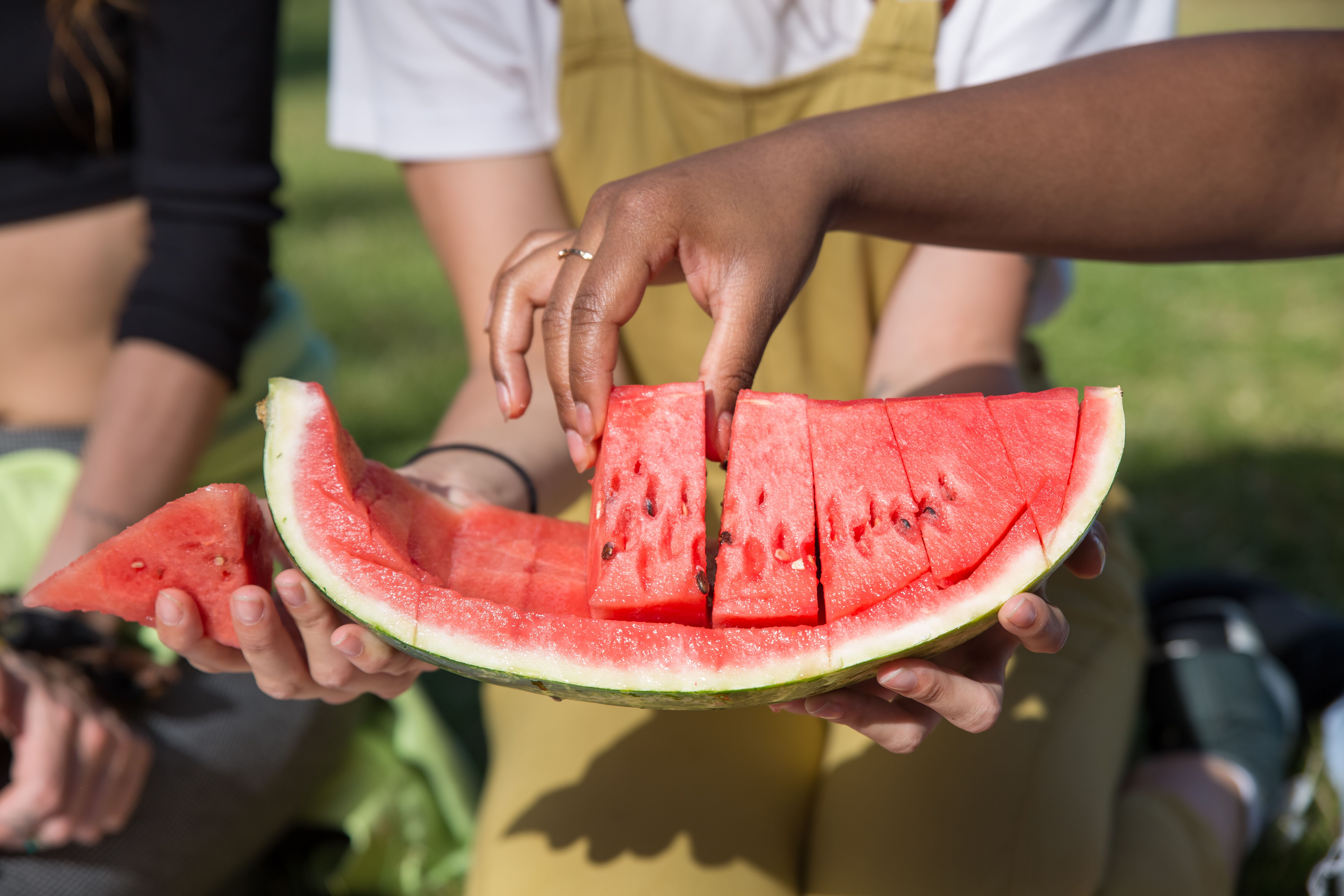 When Summer Is Too Much: Understanding Summer Heat in Traditional Chinese Medicine
