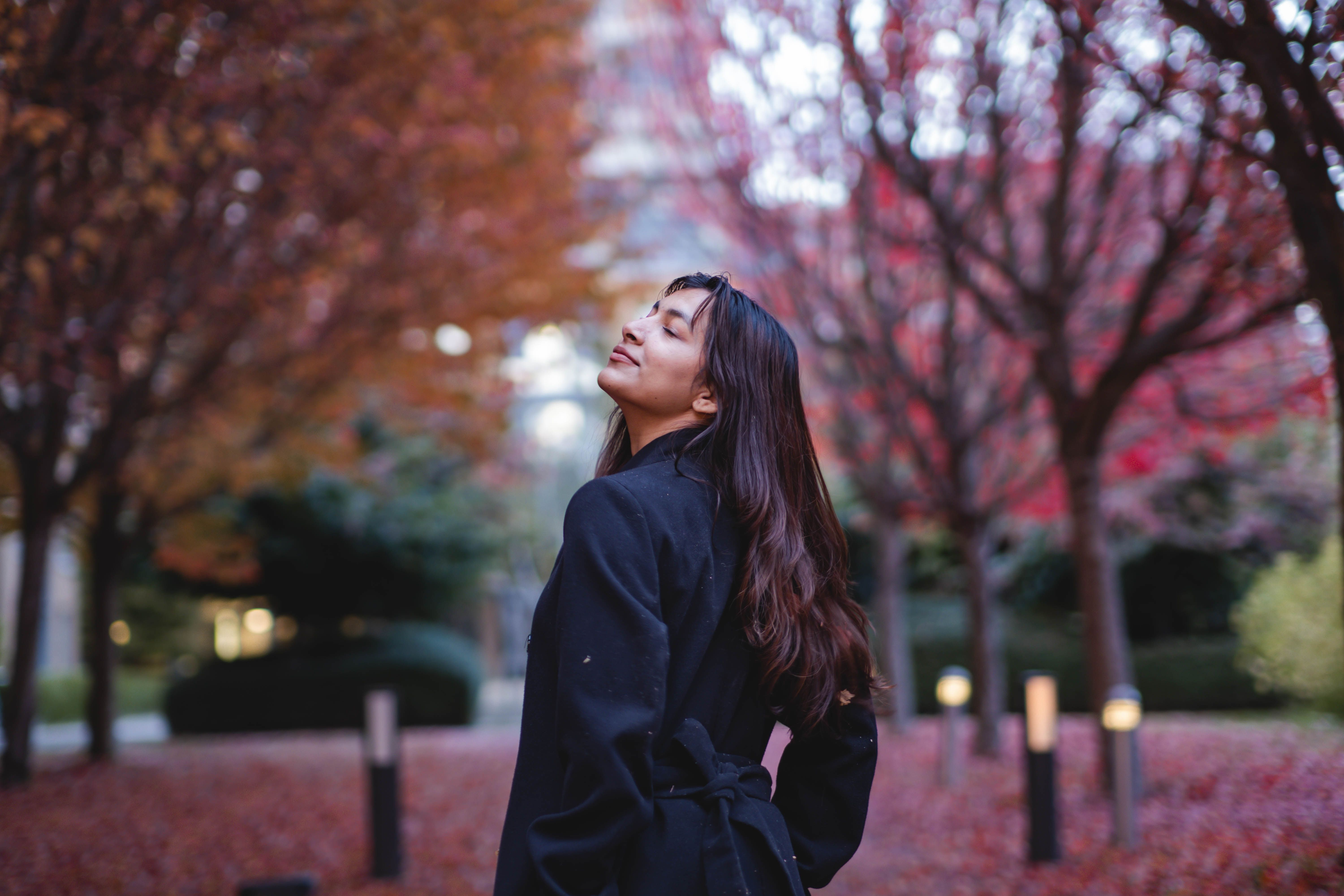 Autumn Through the Lens of Chinese Medicine