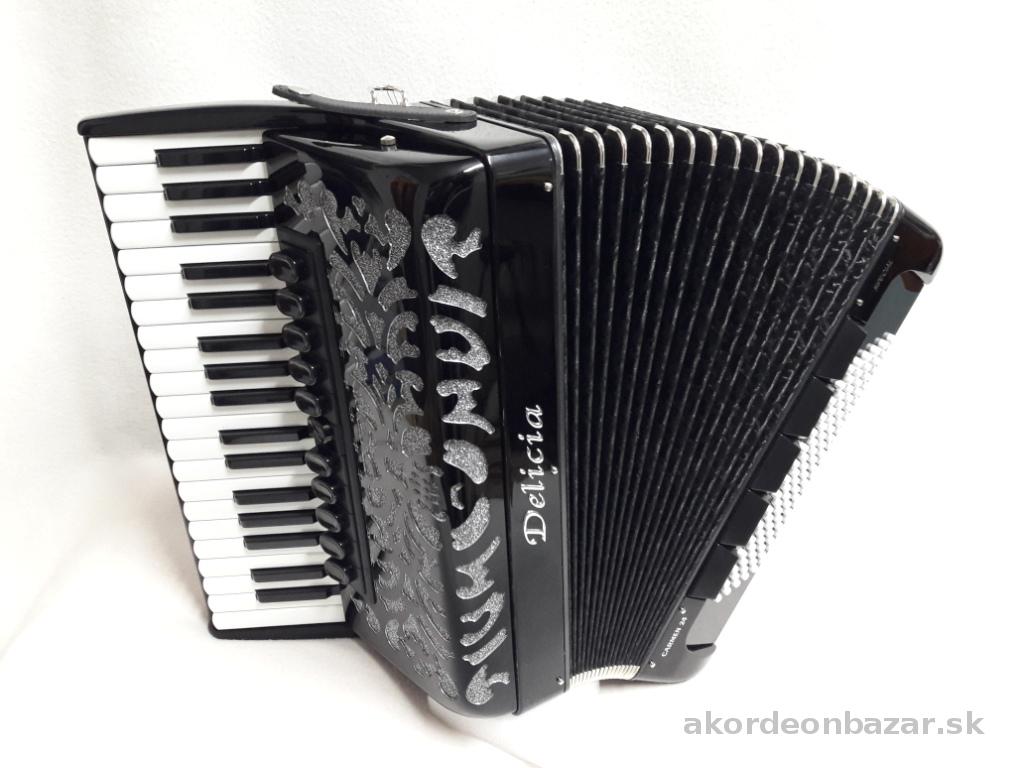 Accordion - Delicia Carmen 24 96 bass