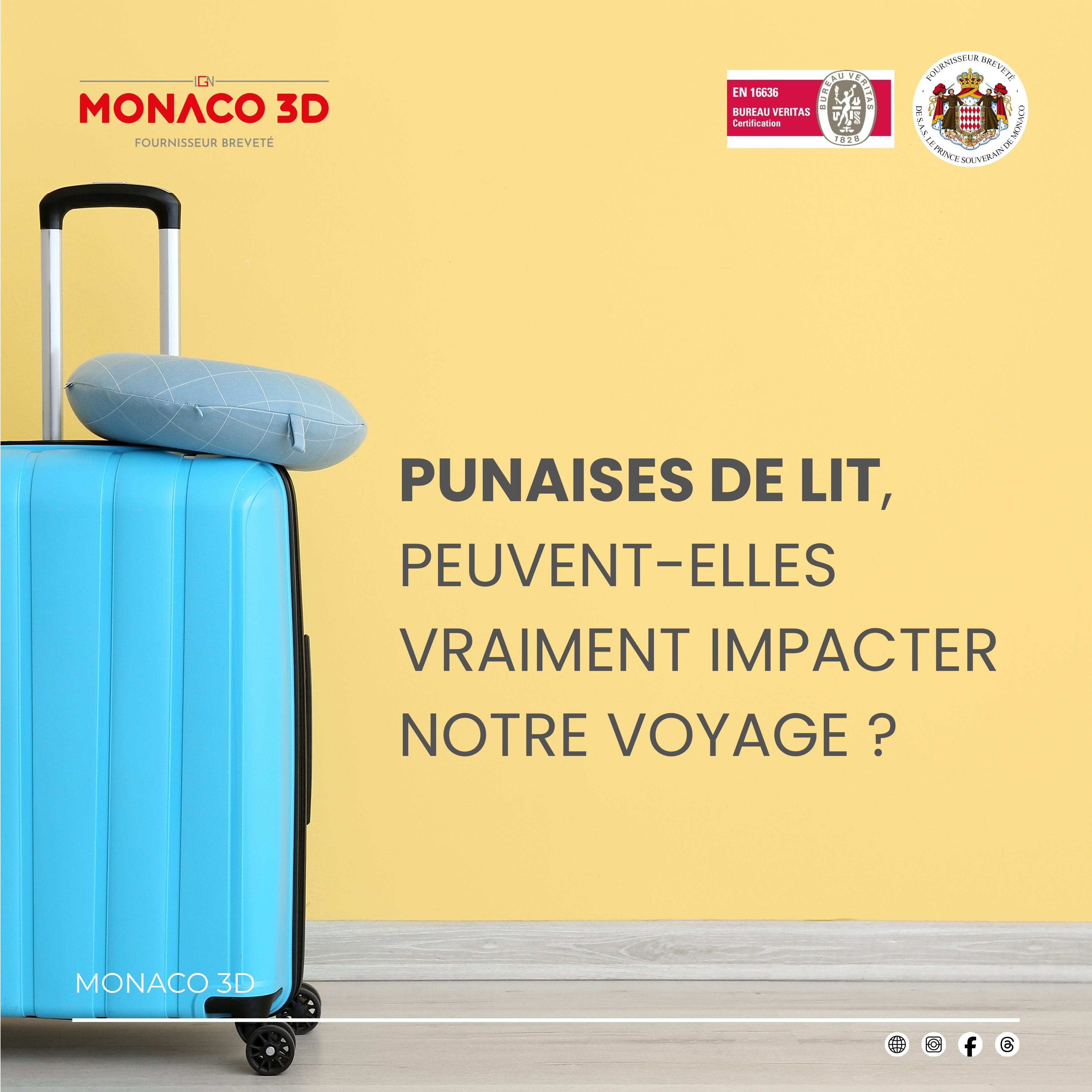 Punaises de lit en voyage