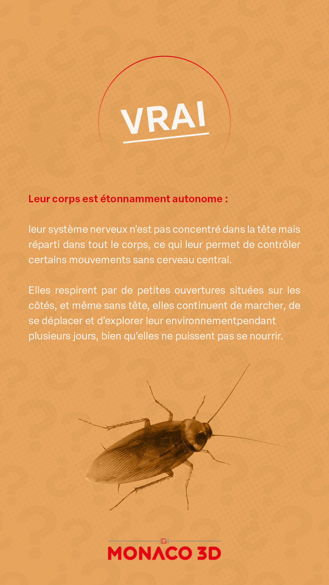 Les Blattes