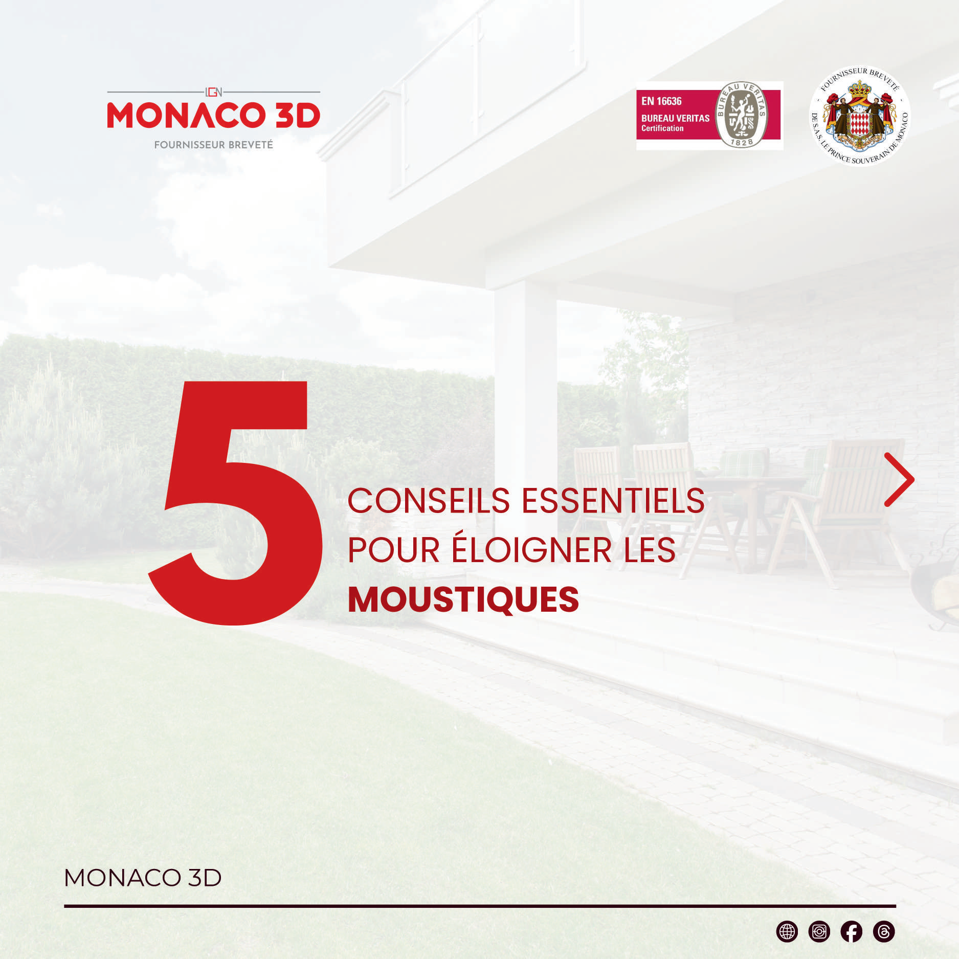 Les moustiques PDF Preview