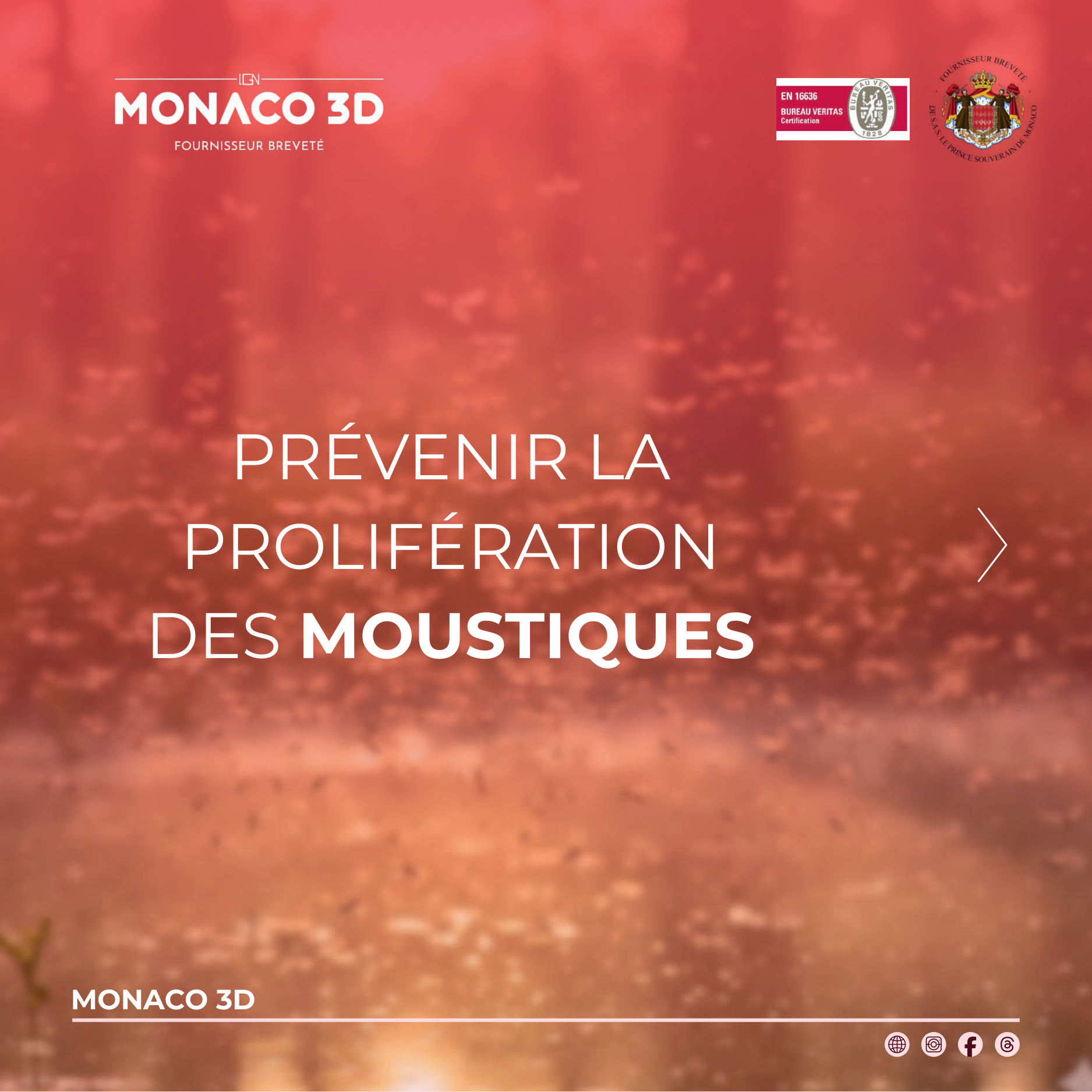 Les moustiques PDF Preview