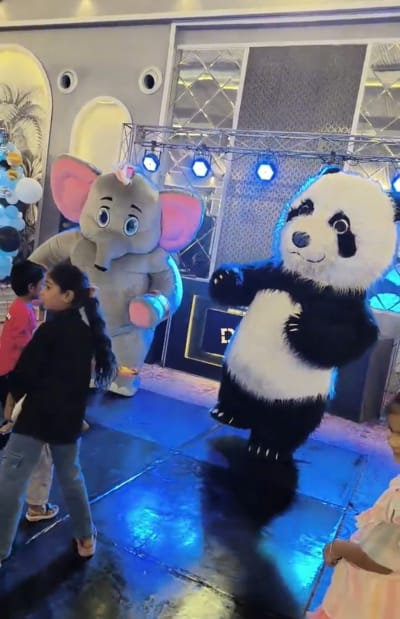 Imported mascots for events and parties in Gurugram, delhi Noida 98765 54985