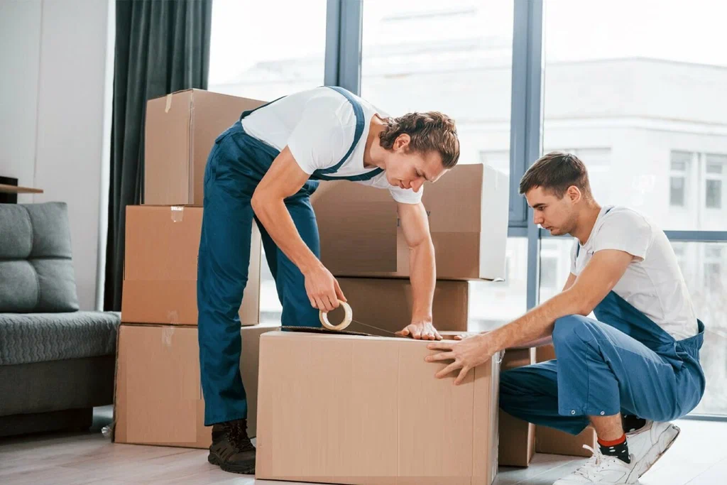 packer and movers in noida