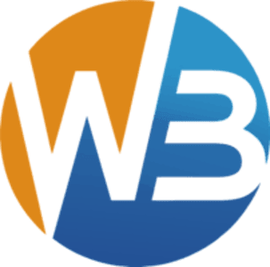 Web Brain InfoTech – Web Development, Software & Digital Marketing Company in Delhi logo