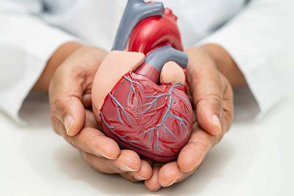 Cardiology