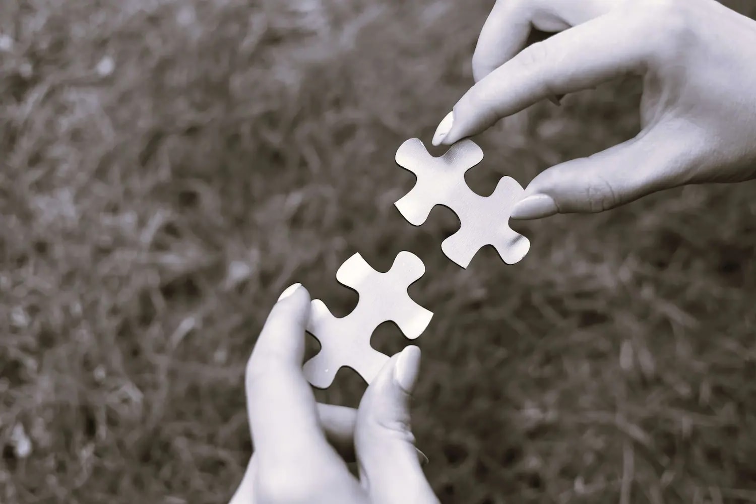 Photo de puzzle