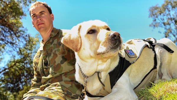 operationk9_740x416.jpg