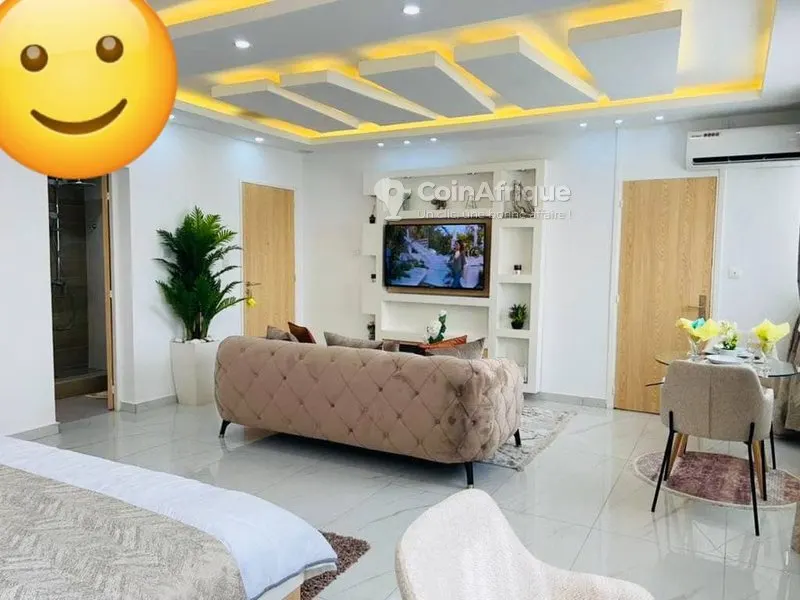 Location appartement studio meublé de standing- Le plateau