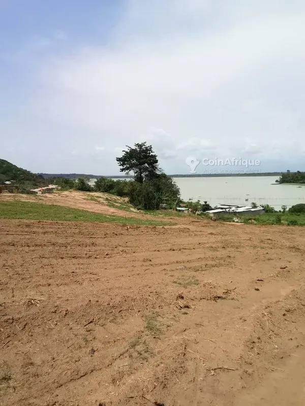 Terrain 2151 m2 - Bingerville