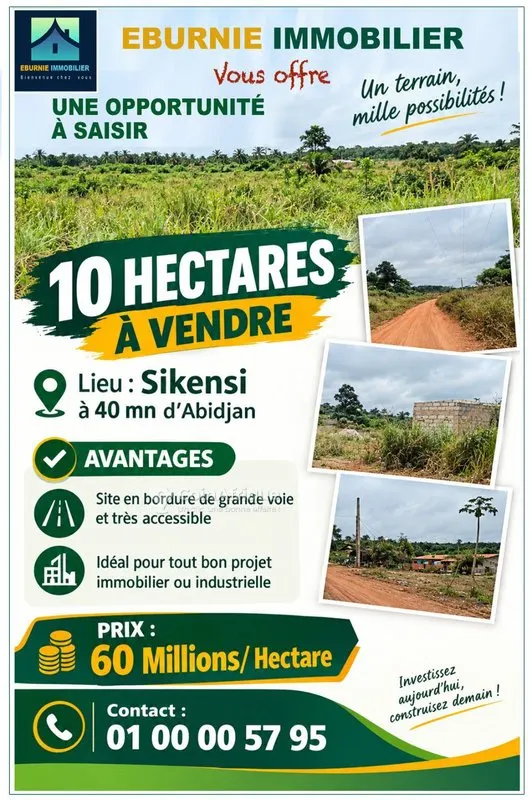 Parcelle 10 hectares - Sikensi