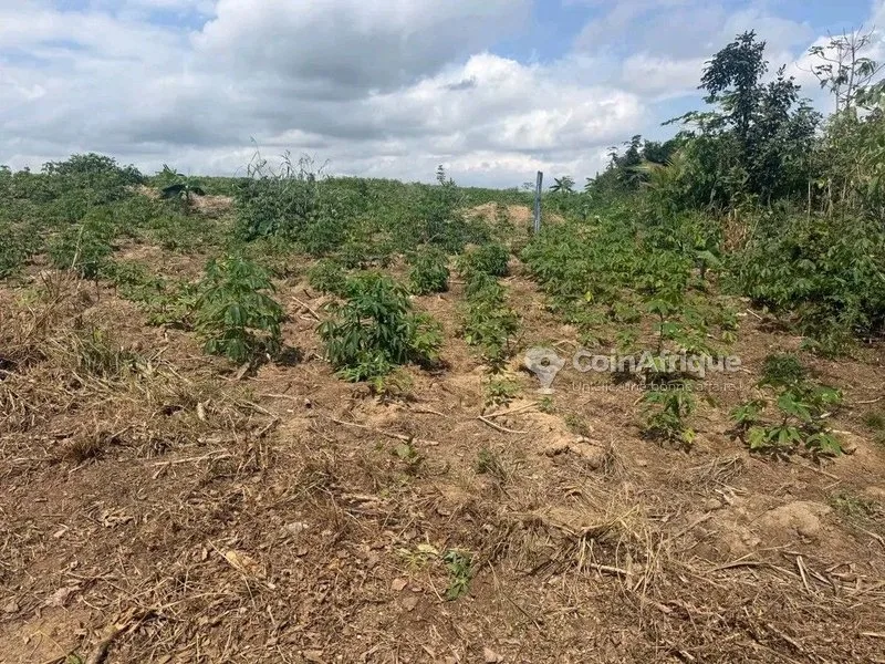 Terrain 400m² - Akoupé Zeudji