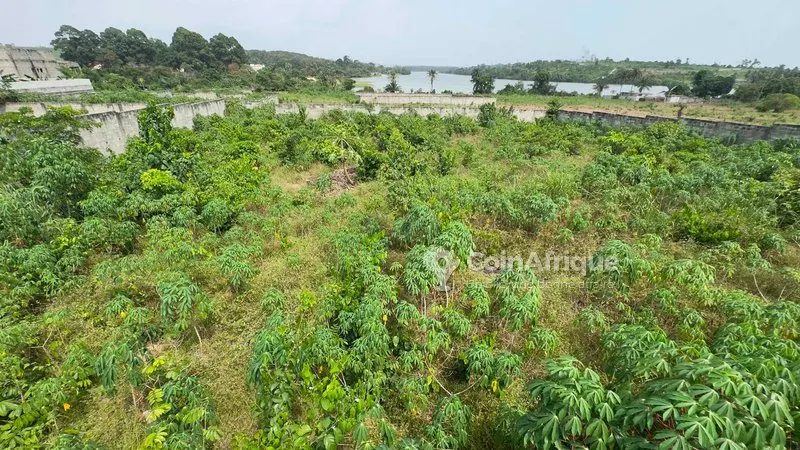 Terrain 1562m2 - Bingerville