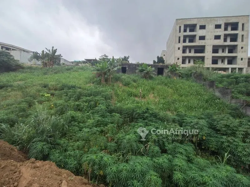 Terrain 450m2 - Abidjan cocody feh kesse