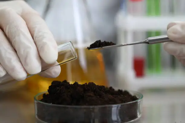 Soil investigation in UAE