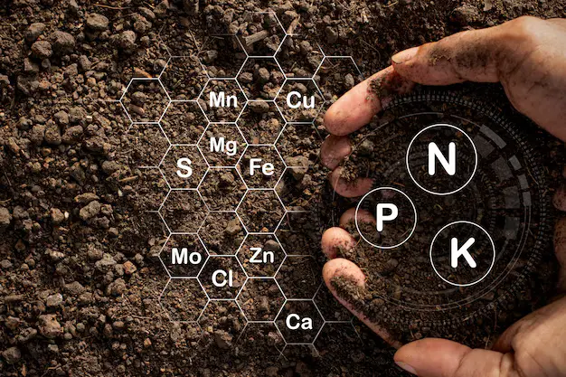 Soil Penetration Analysis Dubai