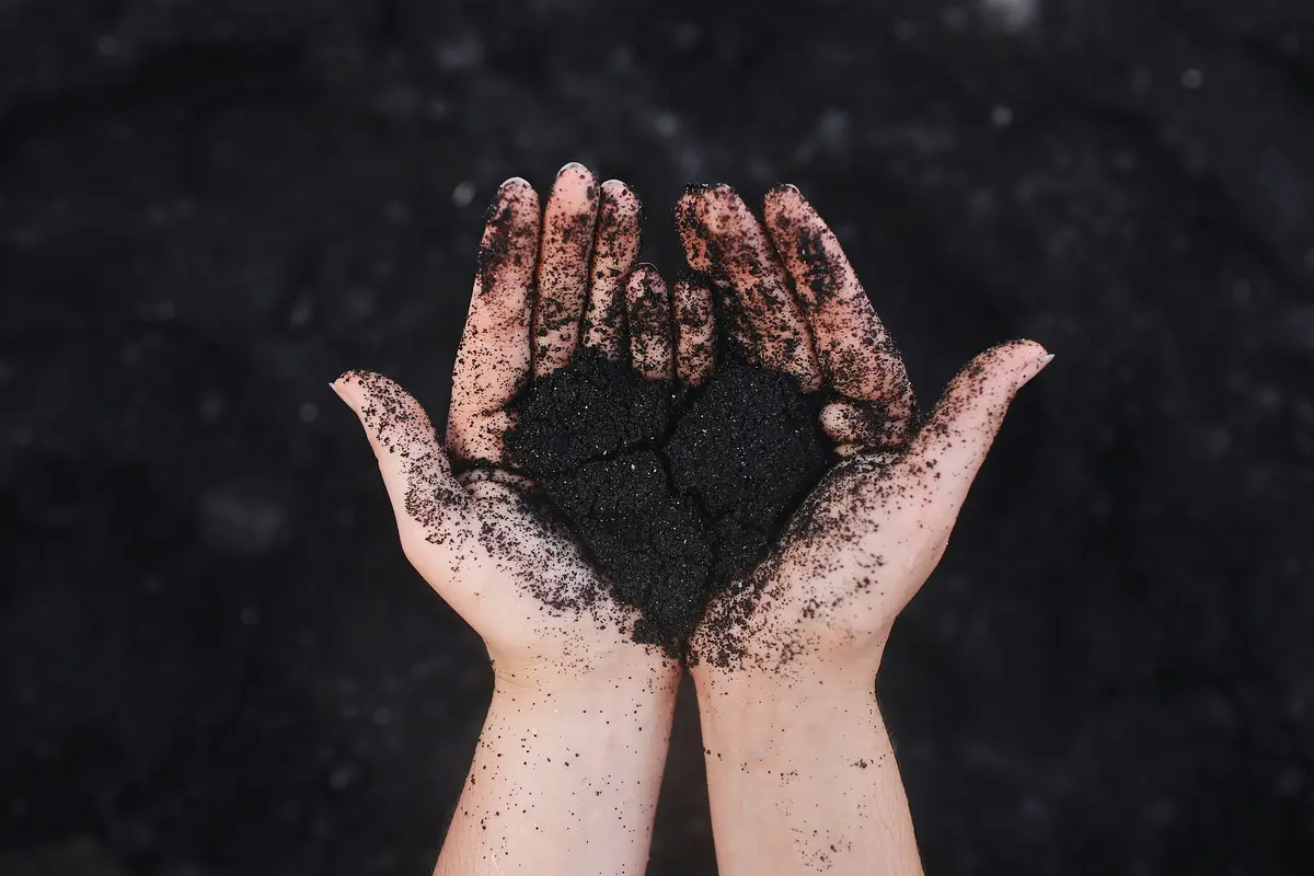 Falcon laboratary LLC Soil testing lab in Uae