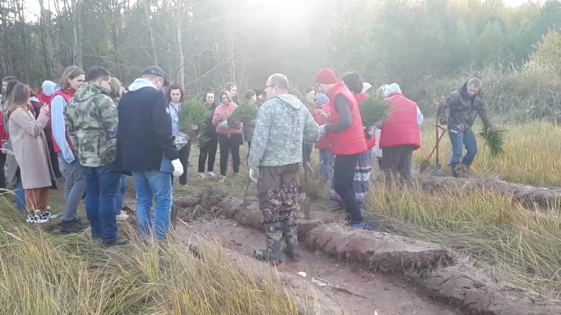 Новости псков видео. Сбоиы для добровольцев в Псковской области.