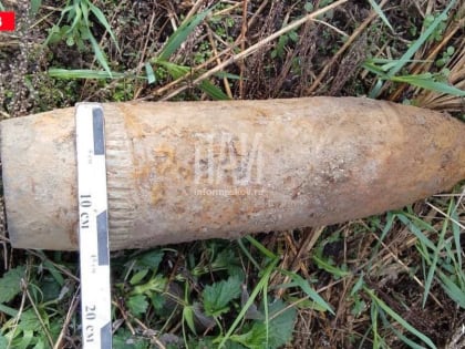 Артснаряд нашли в Великолукском районе