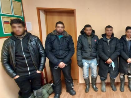 6 лет колонии грозит иностранцам за незаконное пересечение границы в Псковской области