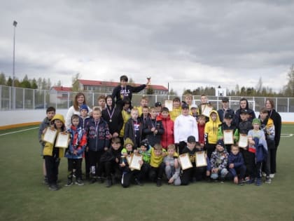 Соревнования по мини-футболу прошли в Плюсском районе