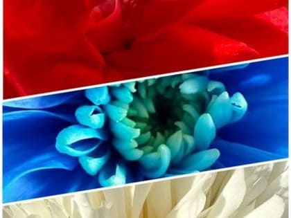Дорогие читатели!  От всей души поздравляем вас с Днём России!