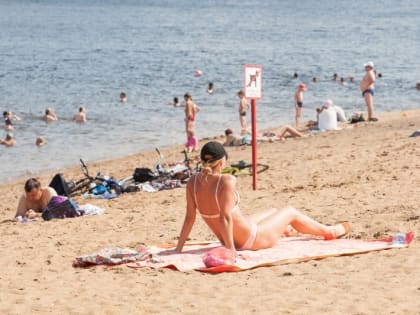 Новые температурные рекорды в мире предрек климатолог